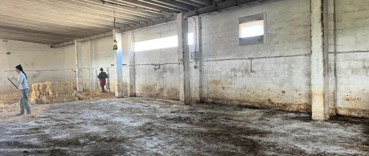 A importância da limpeza